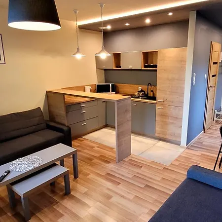 Apartamenty Szostka Wisla Kamienna Exterior photo